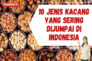 10 Jenis Kacang yang Sering dijumpai di Indonesia