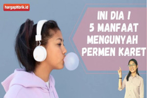 Ini Dia ! 5 Manfaat Mengunyah Permen Karet