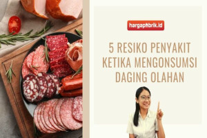 5 Resiko Penyakit ketika Mengonsumsi Daging Olahan