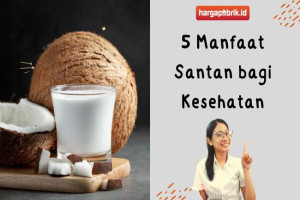 5 Manfaat Santan bagi Kesehatan