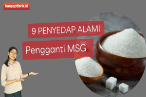 9 Penyedap Alami Pengganti MSG