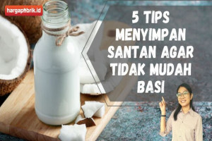 5 Tips Menyimpan Santan Agar Tidak Mudah Basi