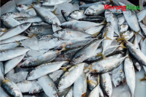 Seberapa Besar Kandungan Merkuri Ikan Laut