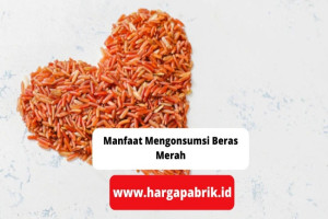 5 Manfaat Mengonsumsi Beras Merah