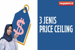 3 Jenis Price Ceiling