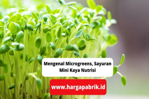 Mengenal Microgreens, Sayuran Mini Kaya Nutrisi