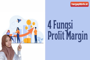 4 Fungsi Profit Margin