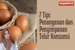 7 Tips Penanganan dan Penyimpanan Telur Konsumsi