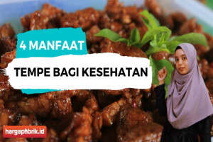 Ini Dia 4 Manfaat Mengonsumsi Tempe Bagi Kesehatan