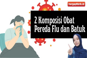 2 Komposisi Obat Pereda Flu dan Batuk