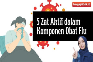 Ini Dia 5 Zat Aktif dalam Komponen Obat Flu