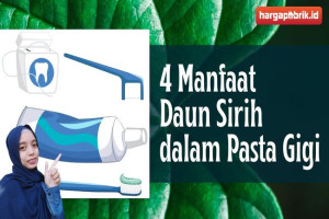 Ini Dia 4 Manfaat Daun Sirih dalam Pasta Gigi