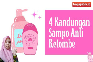 Ini Dia 4 Kandungan Sampo Anti Ketombe