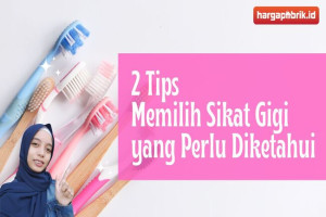 Ini Dia 2 Tips Memilih Sikat Gigi yang Perlu Diketahui