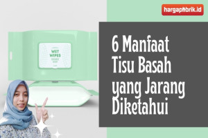 Ini Dia 6 Manfaat Tisu Basah yang Jarang Diketahui