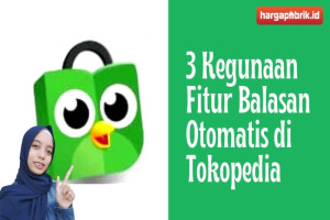 3 Kegunaan Fitur Balasan Otomatis di Tokopedia