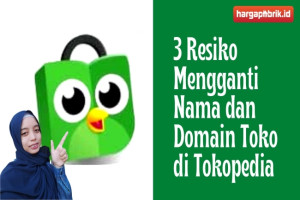 3 Resiko Mengganti Nama dan Domain Toko di Tokopedia