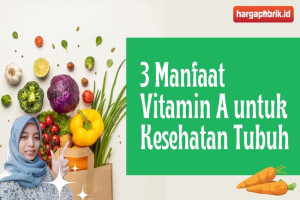 3 Manfaat Vitamin A untuk Kesehatan Tubuh