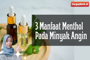 3 Manfaat Menthol Pada Minyak Angin