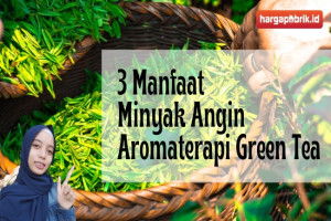 Ini Dia 3 Manfaat Minyak Angin Aromaterapi Green Tea