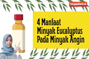 4 Manfaat Minyak Eucalyptus Pada Minyak Angin