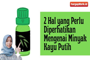 2 Hal yang Perlu Diperhatikan Mengenai Minyak Kayu Putih