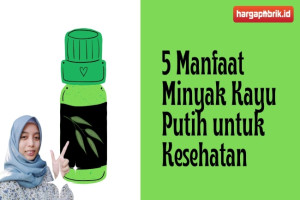 5 Manfaat Minyak Kayu Putih untuk Kesehatan