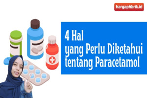 4 Hal yang Perlu Diketahui Tentang Paracetamol