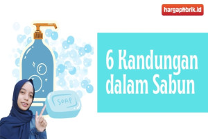 Ini Dia 6 Kandungan dalam Sabun