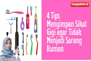 4 Tips Menyimpan Sikat Gigi agar Tidak Menjadi Sarang Kuman