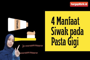 4 Manfaat Siwak pada Pasta Gigi