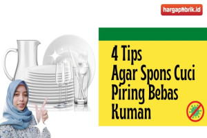 4 Tips Agar Spons Cuci Piring Bebas Kuman