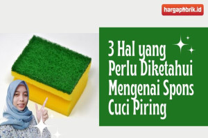 3 Hal yang Perlu Diketahui Mengenai Spons Cuci Piring