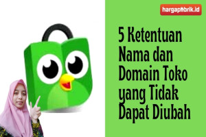 5 Ketentuan Nama dan Domain Toko yang Tidak Dapat Diubah