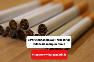 4 Perusahaan Rokok Terbesar di Indonesia maupun Dunia