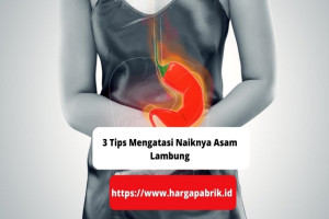 3 Tips Mengatasi Naiknya Asam Lambung