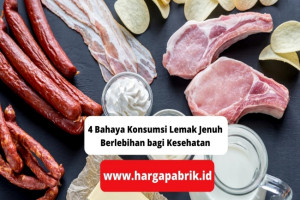 4 Bahaya Konsumsi Lemak Jenuh Berlebihan bagi Kesehatan