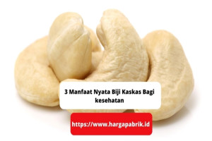 3 Manfaat Nyata Biji Kaskas Bagi kesehatan