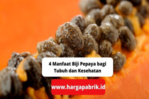 4 Manfaat Biji Pepaya bagi Tubuh dan Kesehatan