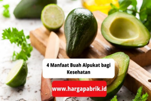 4 Manfaat Buah Alpukat bagi Kesehatan