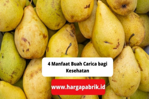 4 Manfaat Buah Carica bagi Kesehatan