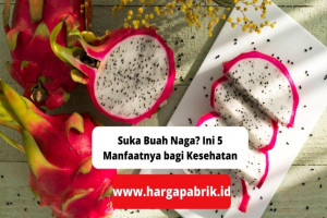 Suka Buah Naga? Ini 5 Manfaatnya bagi Kesehatan