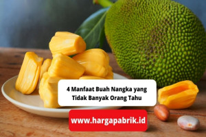 4 Manfaat Buah Nangka yang Tidak Banyak Orang Tahu