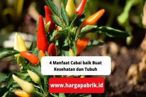 4 Manfaat Cabai baik Buat Kesehatan dan Tubuh