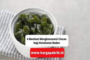 4 Manfaat Mengkonsumsi Cincau bagi Kesehatan Badan