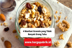 4 Manfaat Granola yang Tidak Banyak Orang Tahu