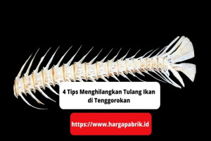 4 Tips Menghilangkan Tulang Ikan di Tenggorokan