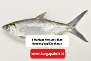 5 Manfaat Konsumsi Ikan Bandeng bagi Kesehatan