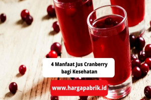 4 Manfaat Jus Cranberry bagi Kesehatan