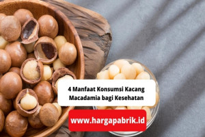 4 Manfaat Konsumsi Kacang Macadamia bagi Kesehatan